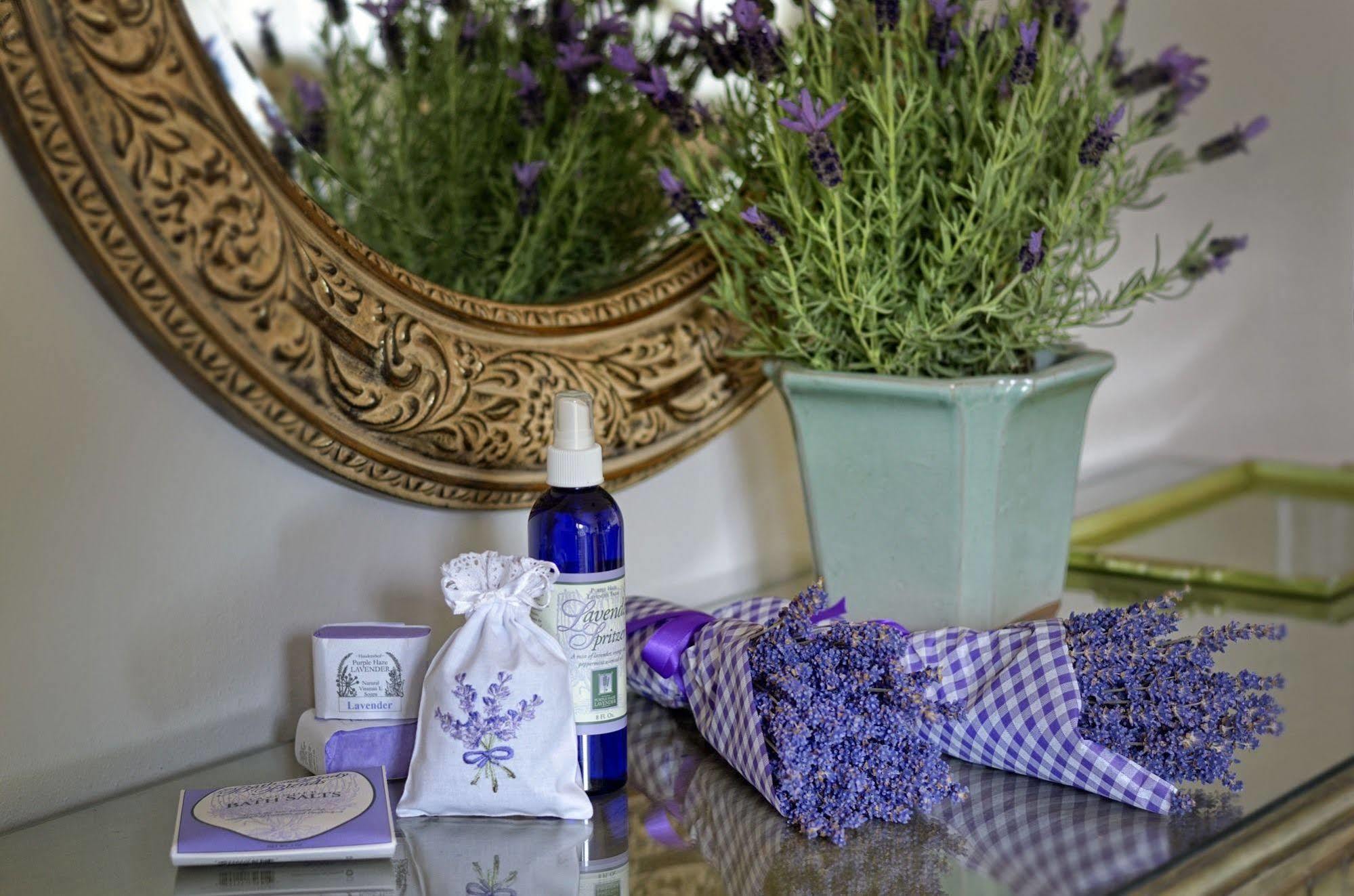 Colette'S Bed & Breakfast พอร์ตแองเจลิส ภายนอก รูปภาพ